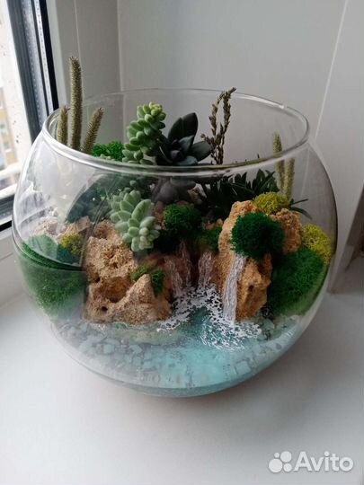 Флорариум на заказ