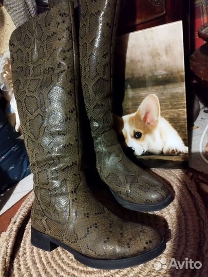 Сапоги натуральная кожа 37