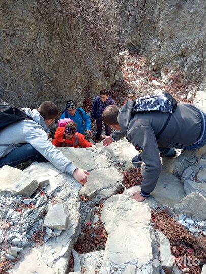 Семейные походы с детьми и без в Мостовском районе