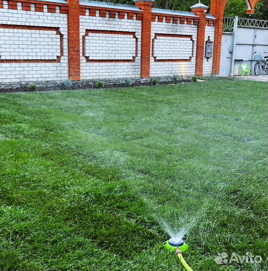 Рулонный газон