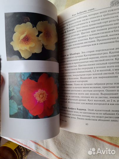 Книги для дома и дачи
