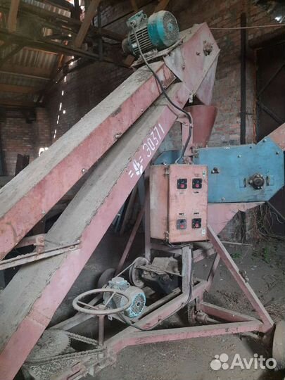 Зернометы, пектуса