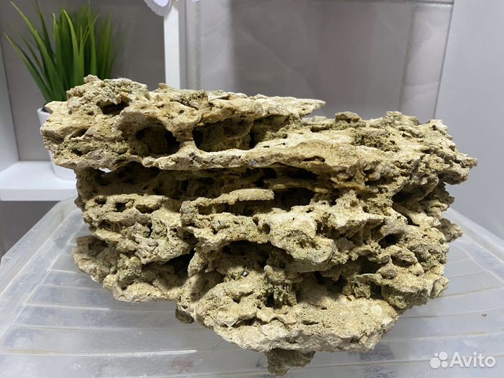 Камень песчанник для аквариума