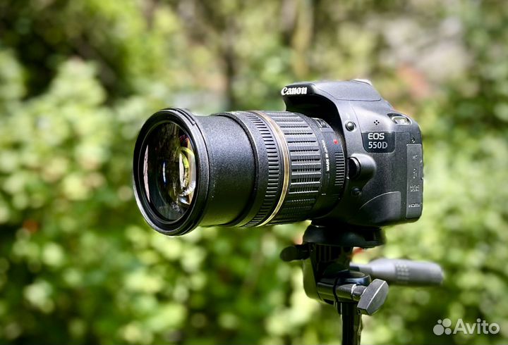 Canon EOS 550d + Tamron 17-50mm + Canon 50mm