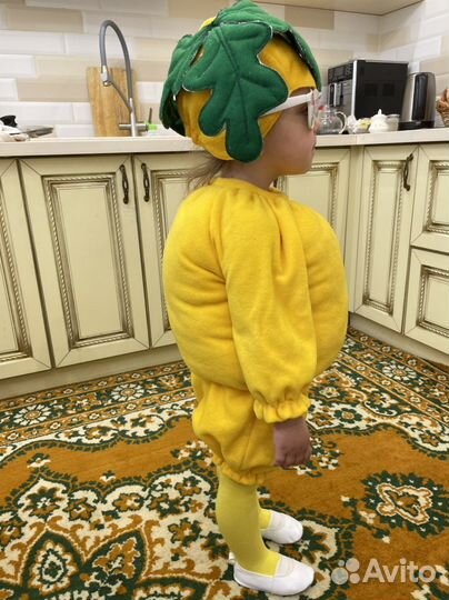 Костюм репки