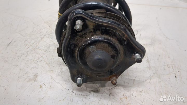 Амортизатор подвески правый передний Honda Accord 10, 2018