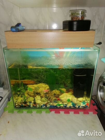 Аквариум