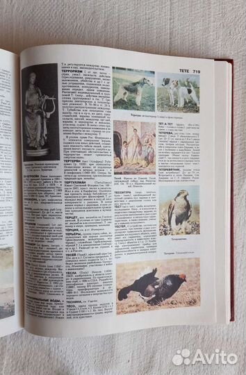 Новый иллюстрированный энциклопедический словарь