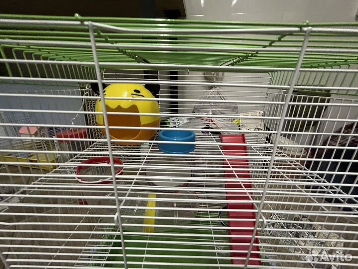 Клетка для грызунов, в подарок поилка и миска