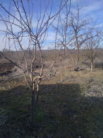 Дом 56,4 м² на участке 15 сот.