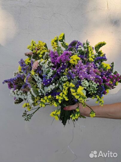 Продаю Садовые и комнатные растения