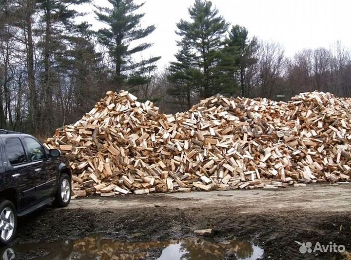 Дрова со Всеволожска