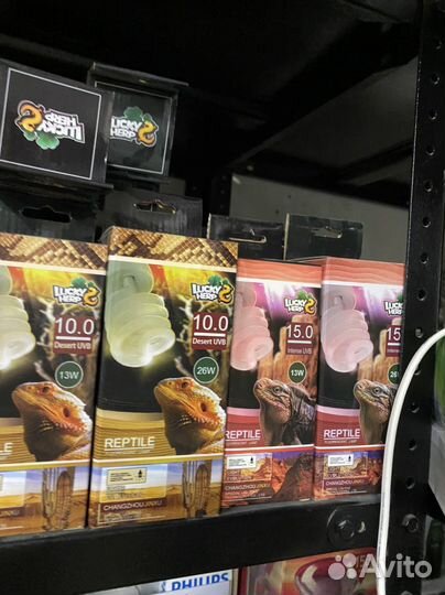 Лампы для террариумов, греющие и ультрафиолетовые