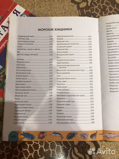 Энциклопедия для детей