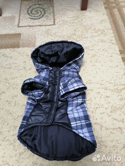 Вещи для маленькой собаки