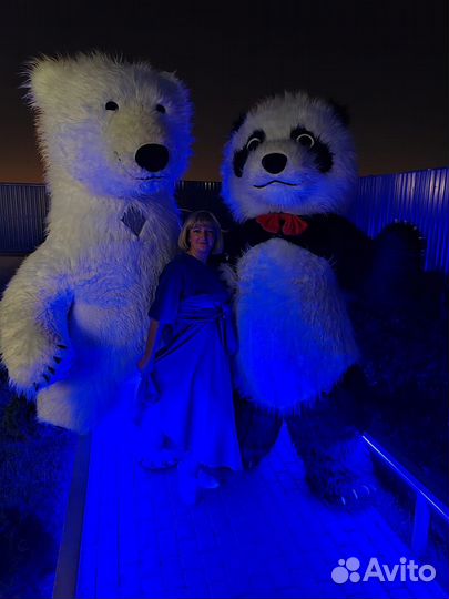 Белый мишка поздравление