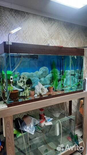 Аквариум