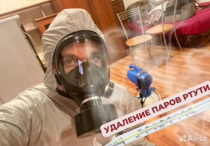 Уничтожение клопов тараканов, Демеркуризация ртути