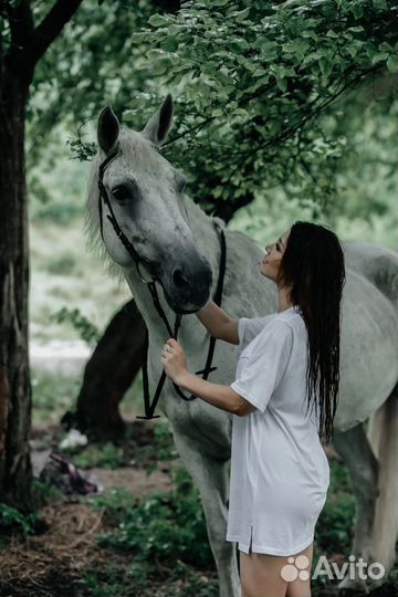 Катание на лошадях Новопавловск
