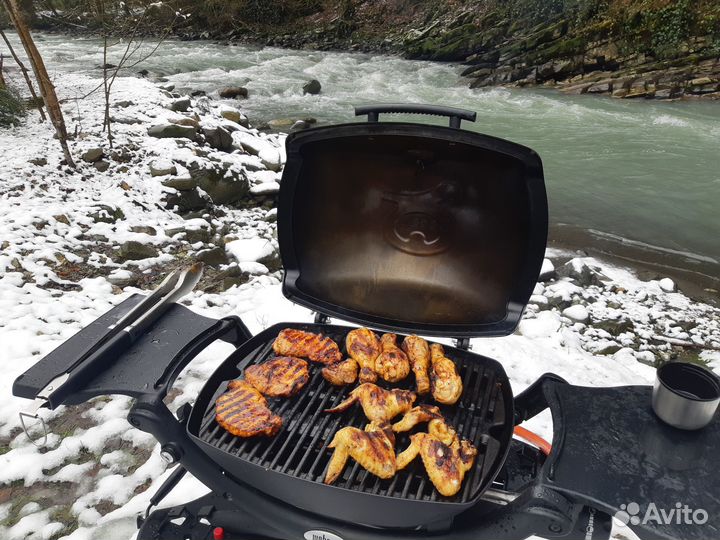 Газовый гриль weber q1200