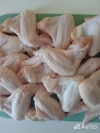 Крылья курицы охлаждений каждый день по 15 кг