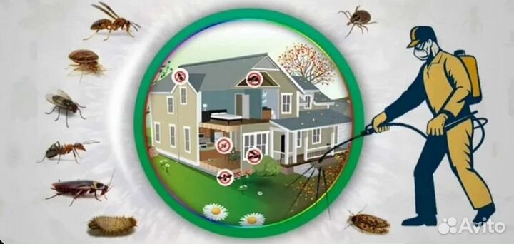 Дезинфекция