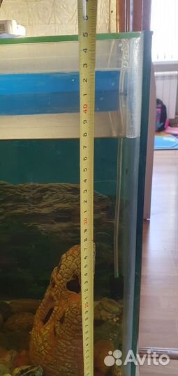 Аквариум с рыбками