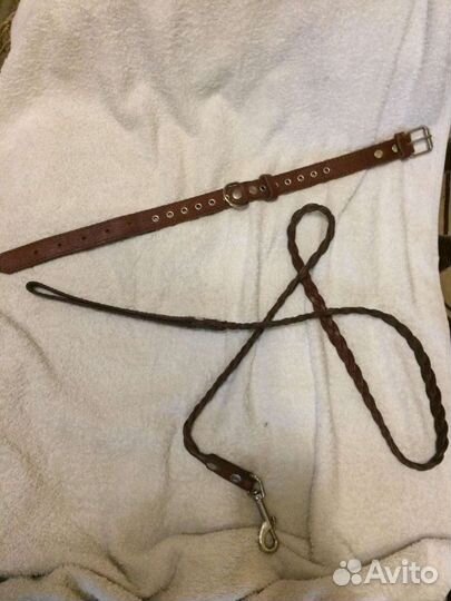 Ошейник для собак