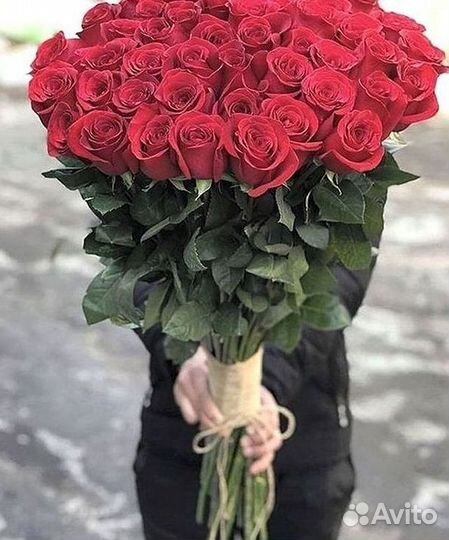 Высокие розы Гигантские Розы 150 160 170 180 190см