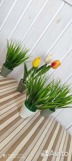 Зелень в горшочках