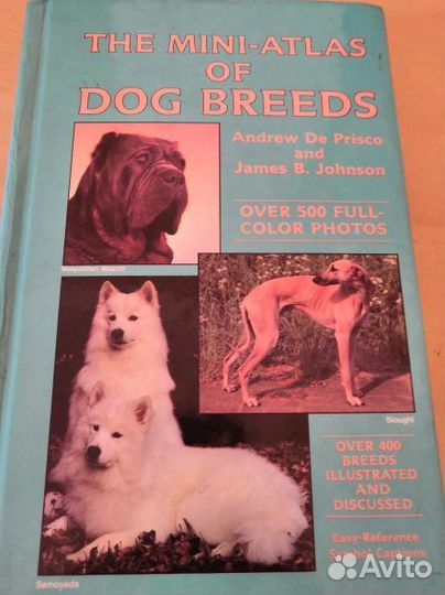 Атлас пород собак