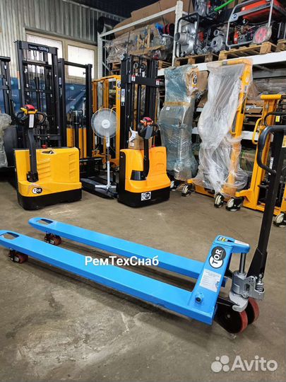 Рохля длинная