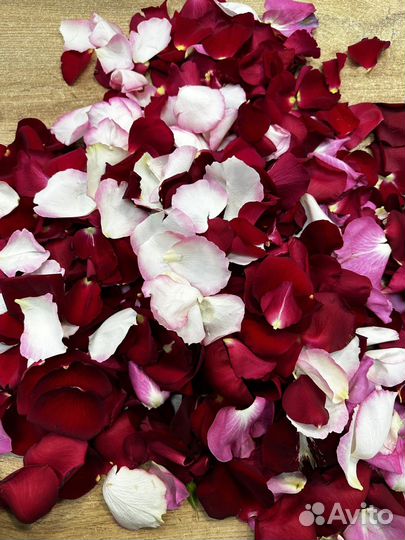 Лепестки роз свежие