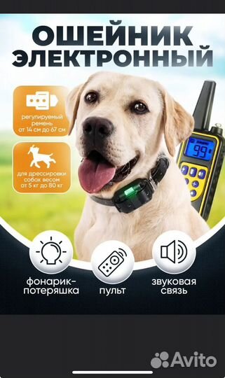 Ошейник для дресировки собак