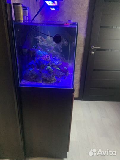 Продам морской аквариум 280 литров