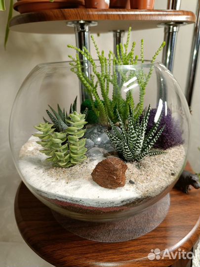 Живой флорариум