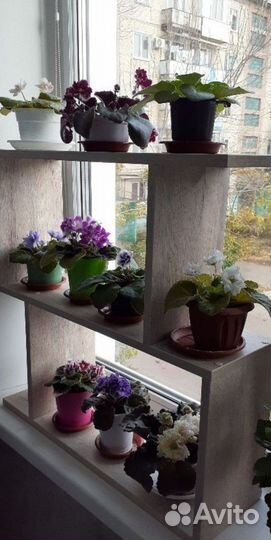 Полка настенная