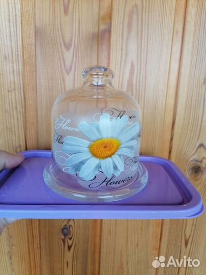 Лимонница новая стекло