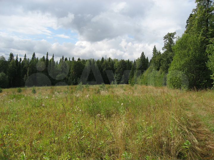 Участок 6,63 га (СНТ, ДНП)