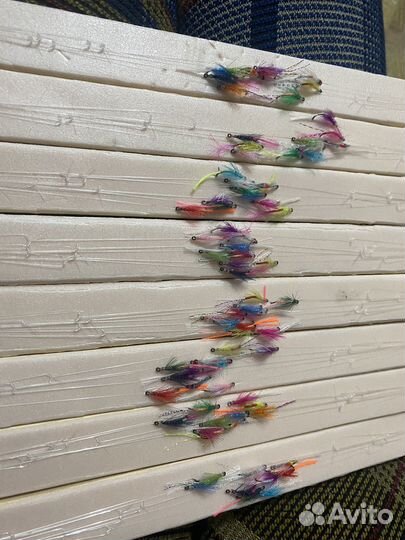 Омулевый настрой