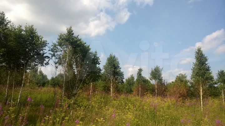 Участок 11,5 га (СНТ, ДНП)