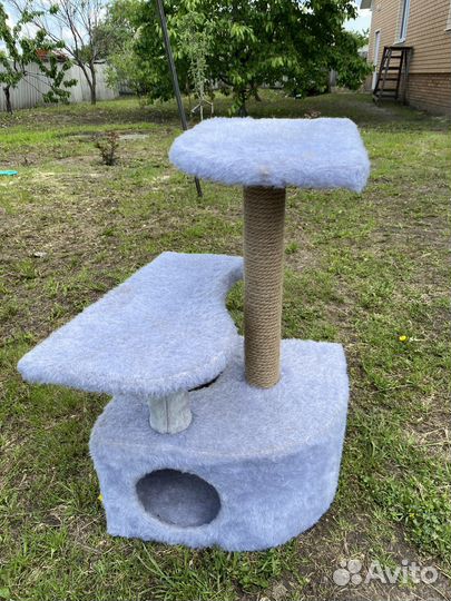 Когтеточка