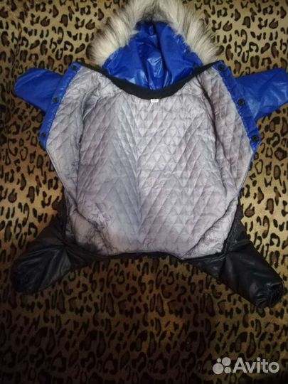 Обмен / Костюм для собаки Зенит