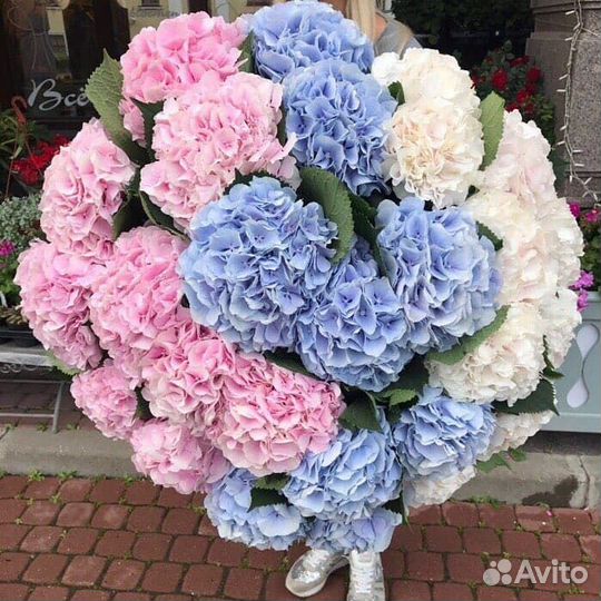 Букет из Гортензии Шикарный букет с Гидрангией