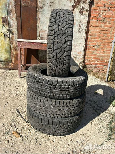 Delinte Winter WD6 205/70 R15