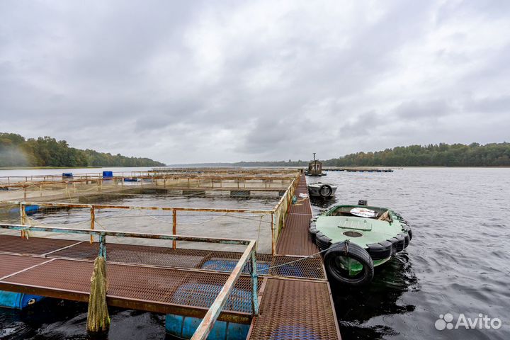 Форелевая ферма-хозяйство