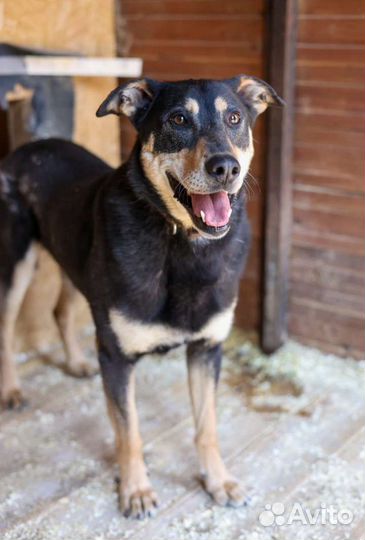 Забери меня домой