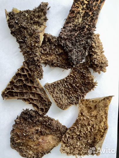 Лакомства сушеные для собак