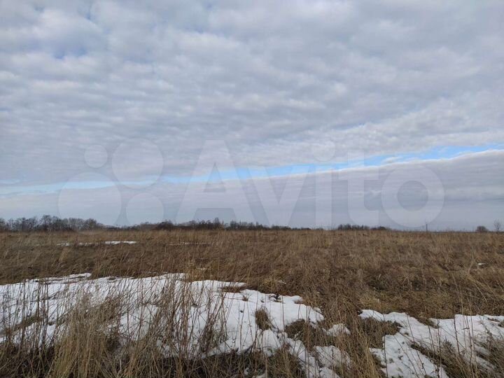 Участок 14,7 сот. (СНТ, ДНП)