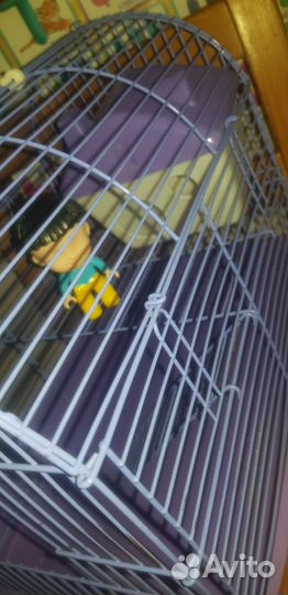 Клетка для грызунов бу